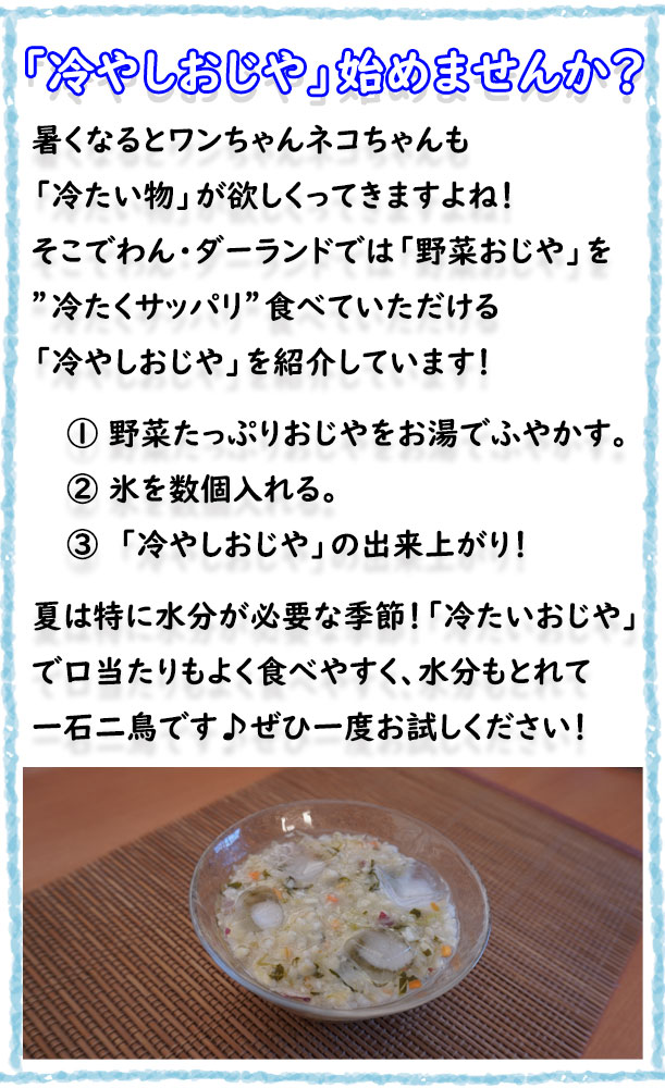 野菜たっぷりおじや | 無添加国産ドッグフード・手作り食の通販なら「わんダーランド」